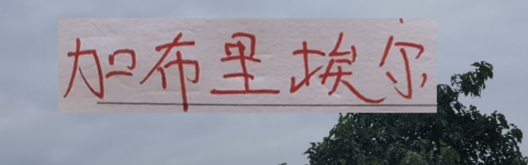 新赛季！海港 申花 北京国安的边锋都是又黑又快的外援